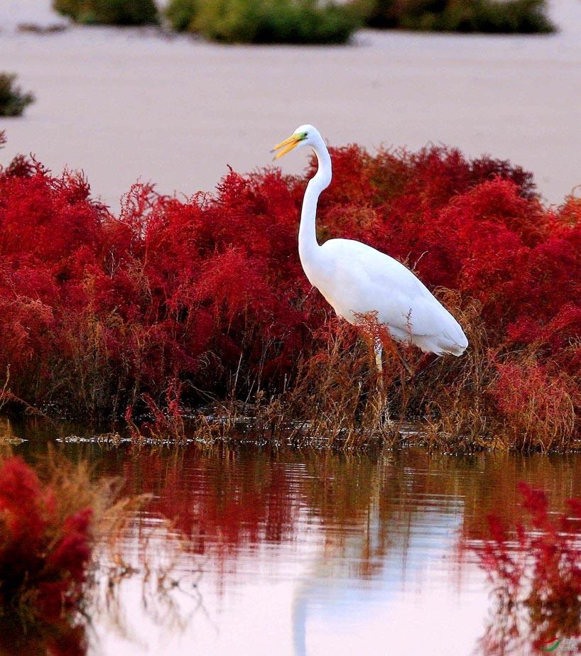 Bien do Trung Quoc anh 6