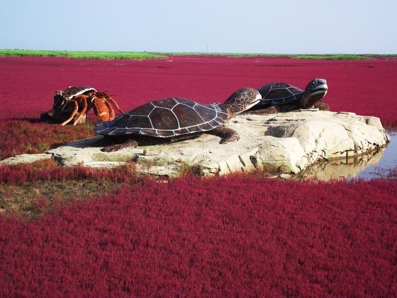 Bien do Trung Quoc anh 7