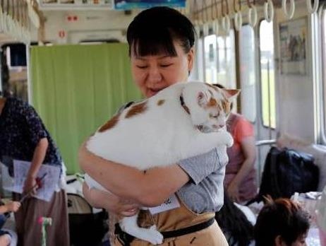 'Chuyen tau meo' dau tien tren the gioi o Nhat Ban hinh anh