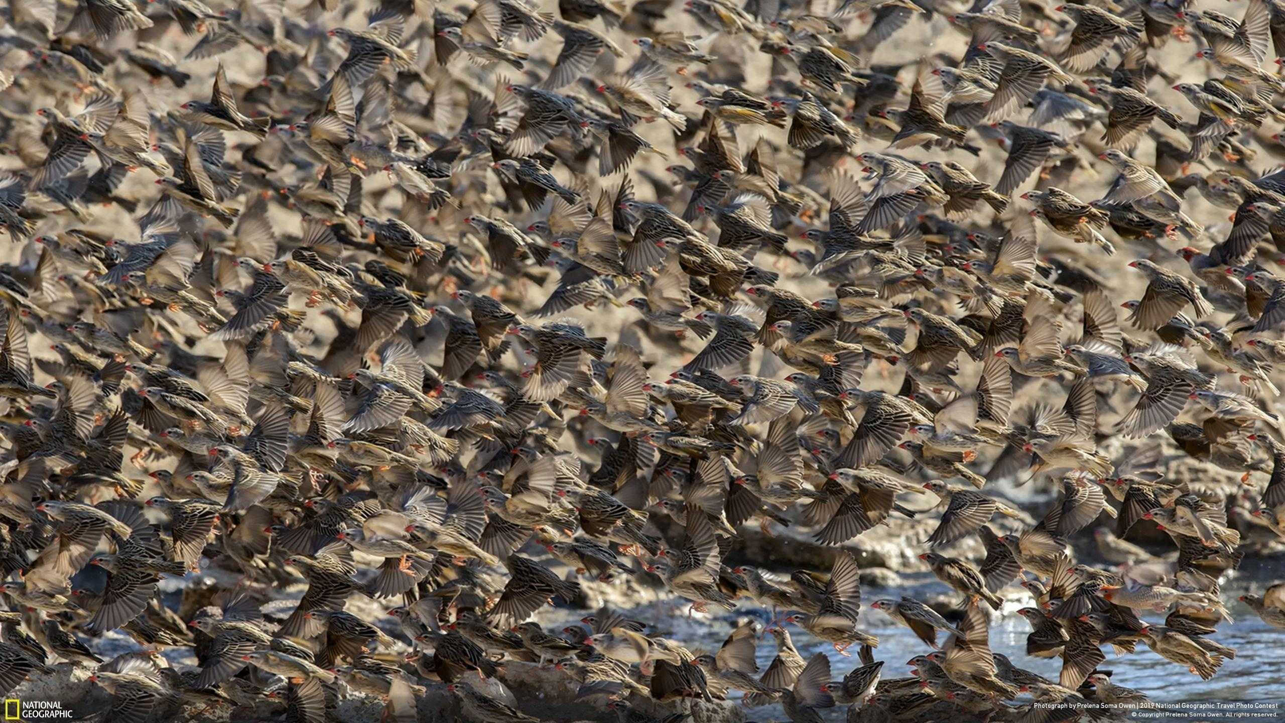 Anh doat giai cuoc thi anh du lich anh 12