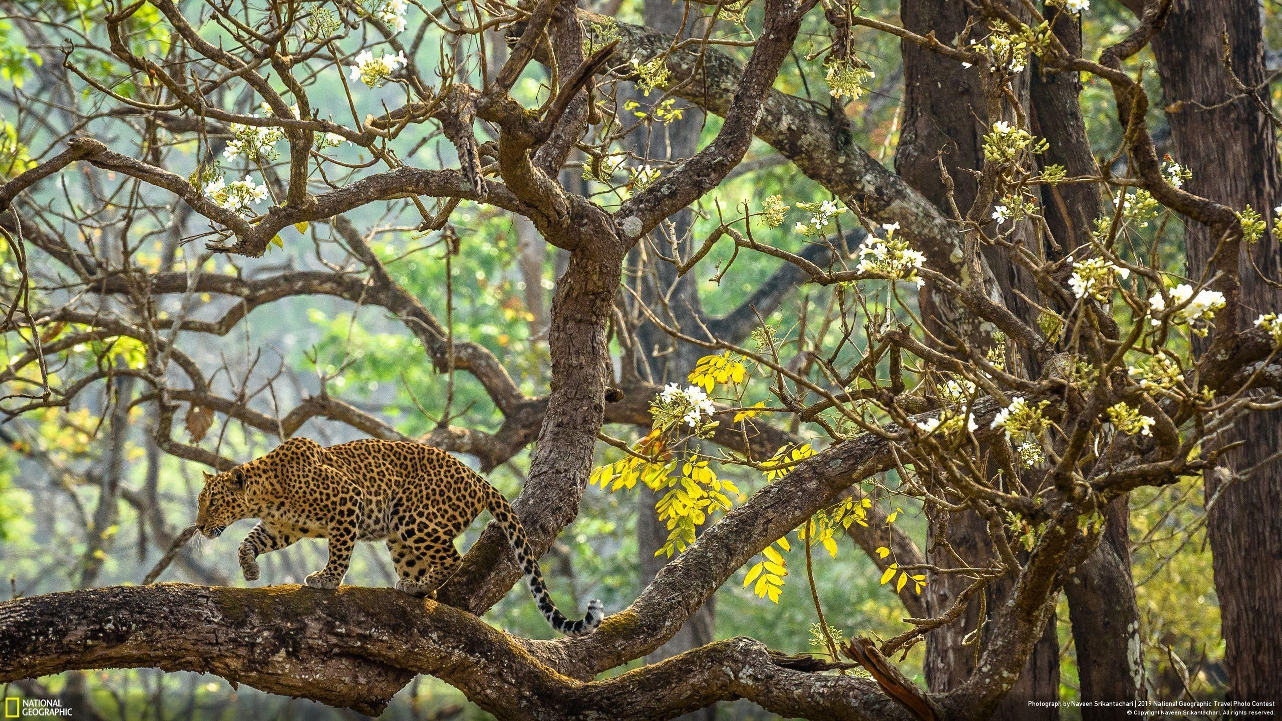 Anh doat giai cuoc thi anh du lich anh 14