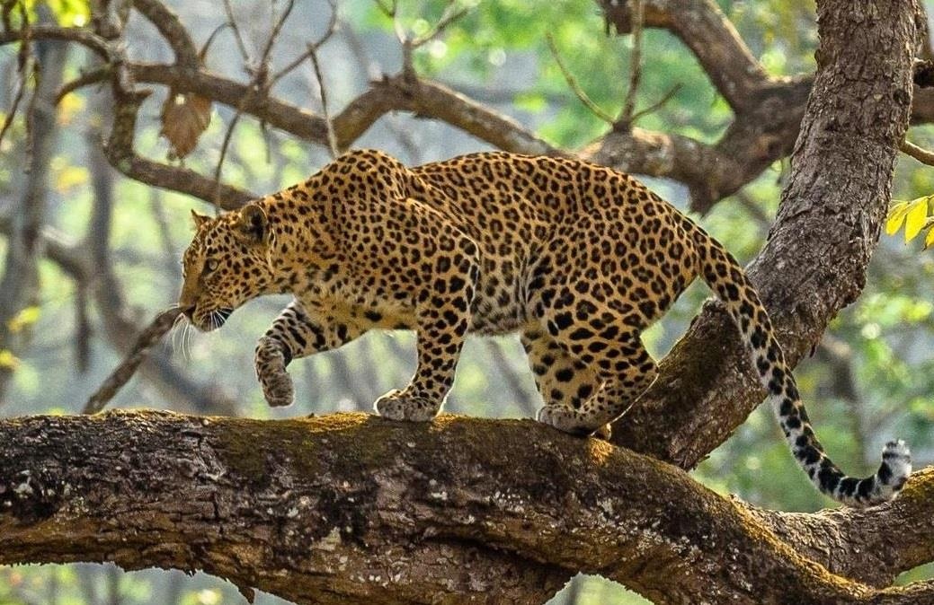 Bo anh tuyet dep doat giai cuoc thi anh Du lich 2019 hinh anh