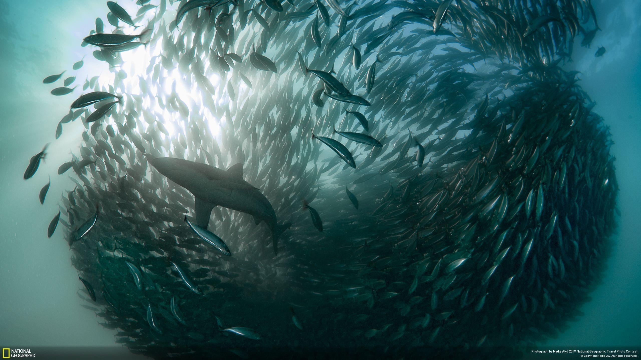 Anh doat giai cuoc thi anh du lich anh 15