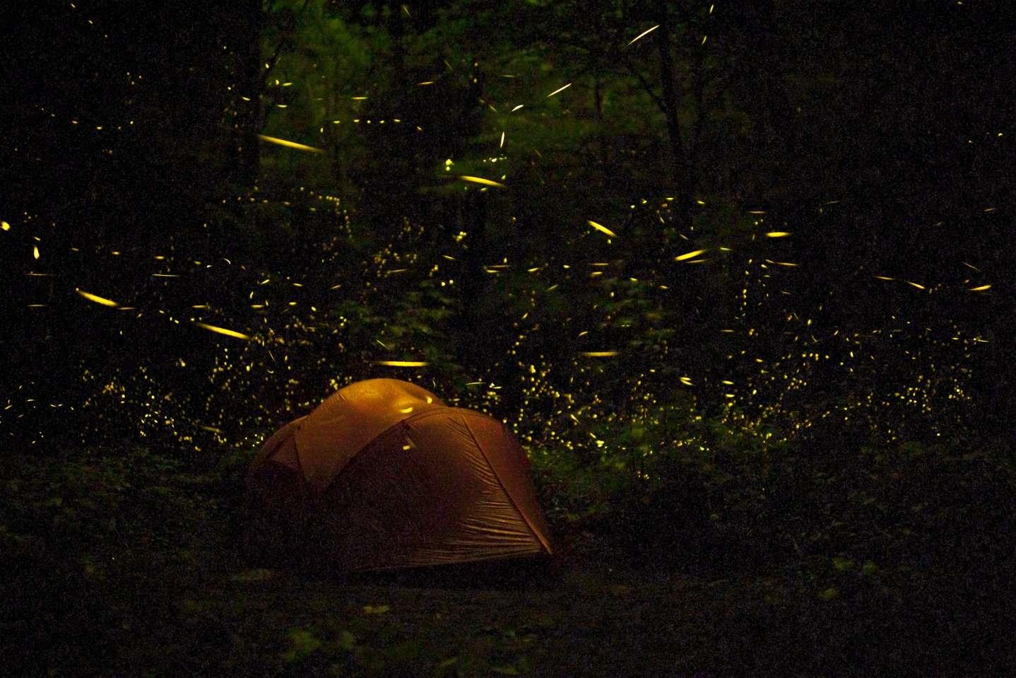 Hien tuong thien nhien day mau sac anh 6