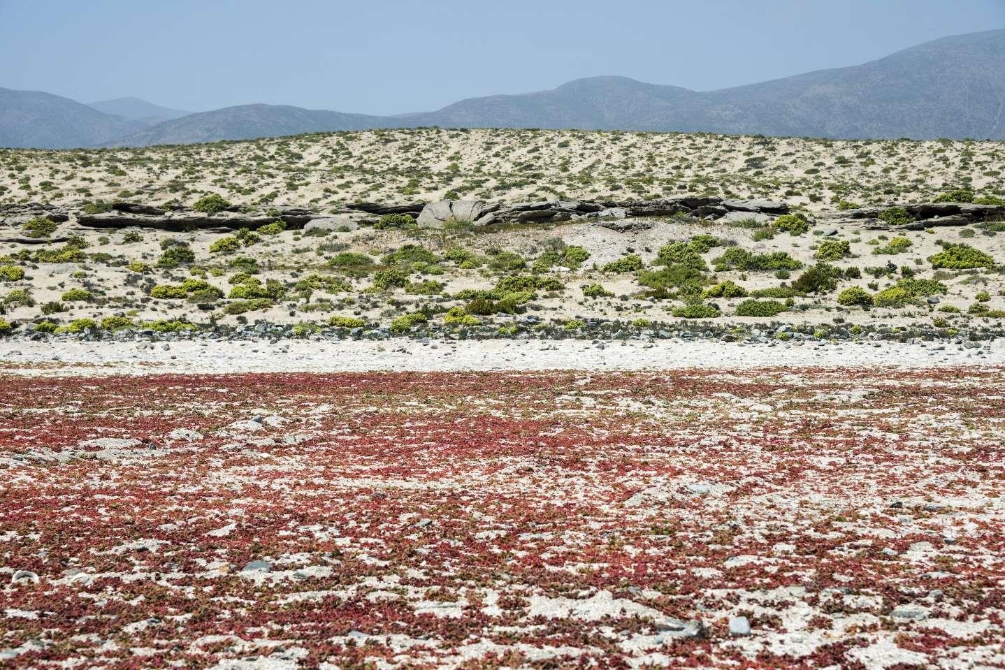 Hien tuong thien nhien day mau sac anh 7