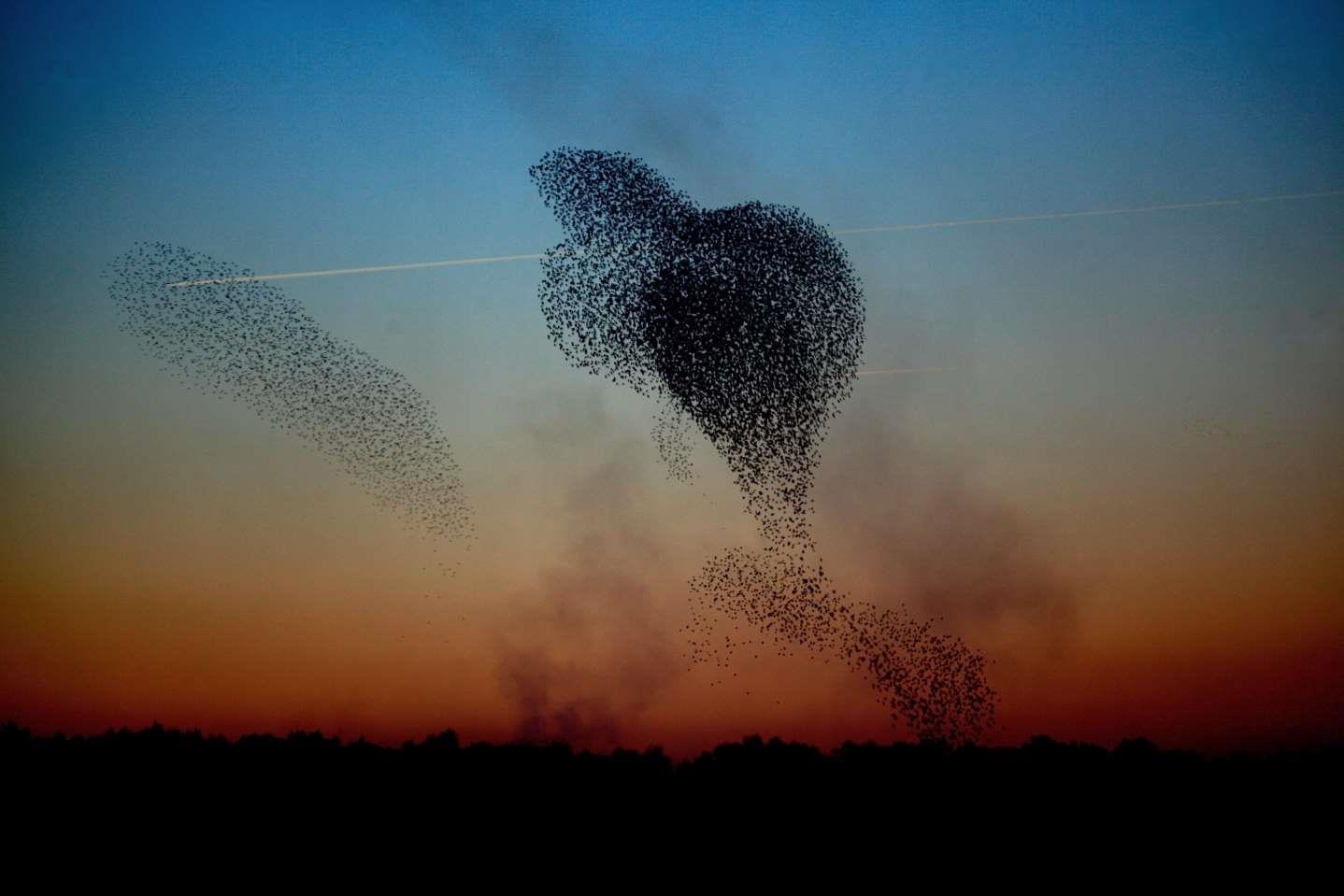 Hien tuong thien nhien day mau sac anh 9