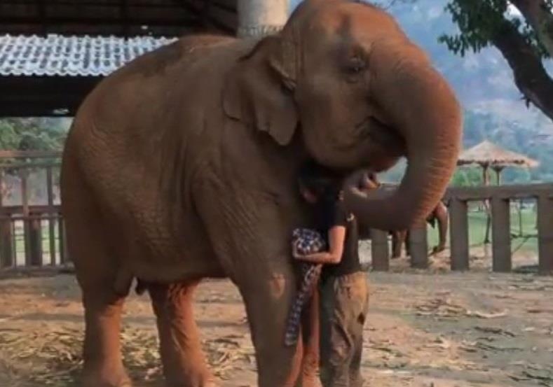 Clip voi bi ru ngu boi bai hat yeu thich hut dan mang hinh anh