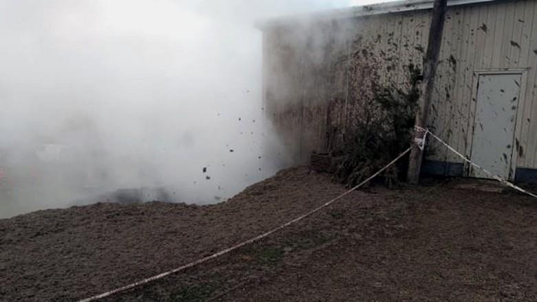 Ho bun soi suc bat ngo xuat hien tai san sau nha o New Zealand hinh anh