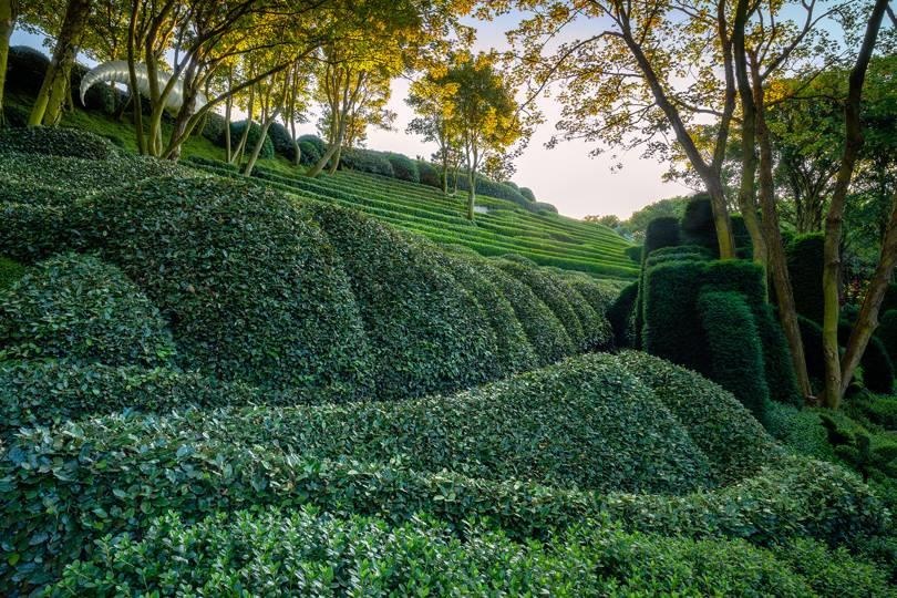 Khu vuon ky di hut o Phap anh 3