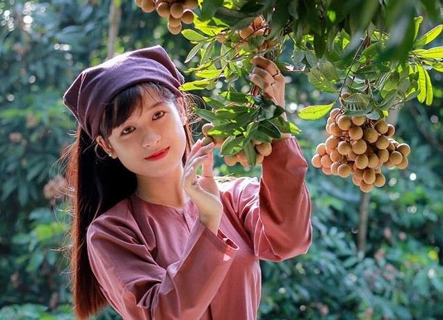 Nhan long la dac san cua tinh nao? hinh anh