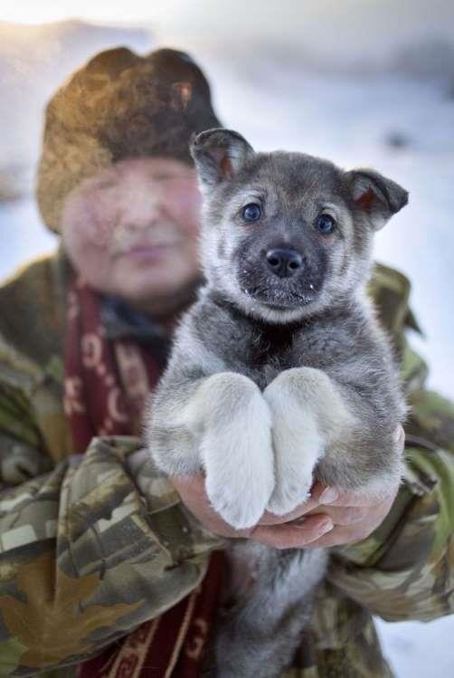 Ngoi lang lanh nhat the gioi anh 10