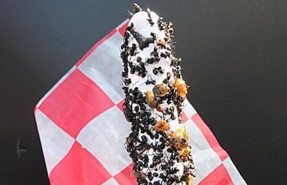 Keo deo boc kien - mon an con trung thu hut o My hinh anh