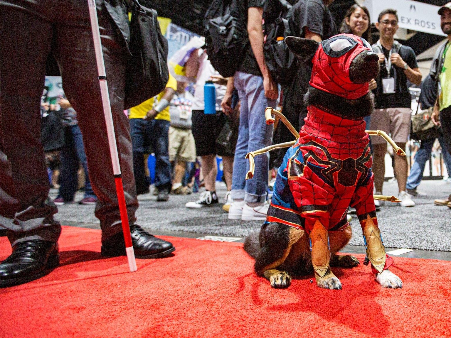 Le hoi cosplay cho cho anh 1