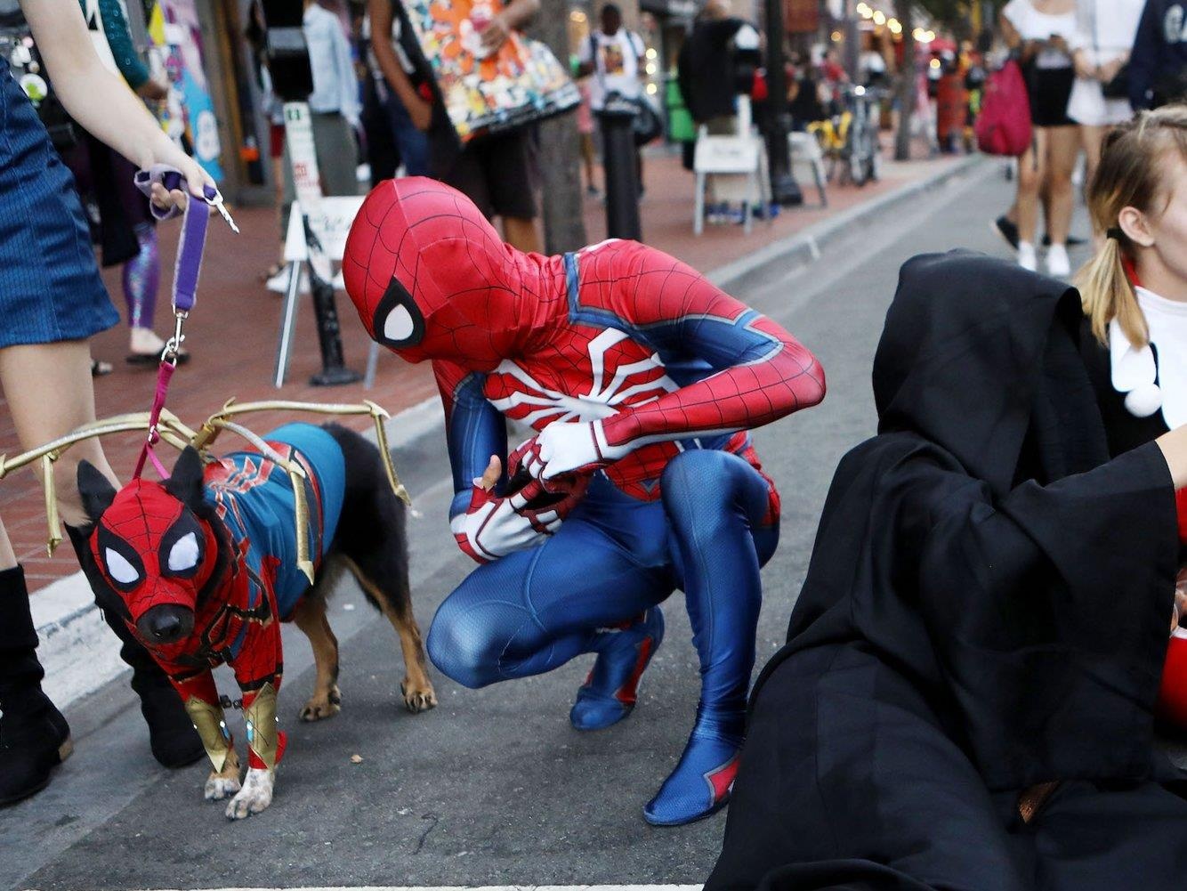 Le hoi cosplay cho cho anh 7