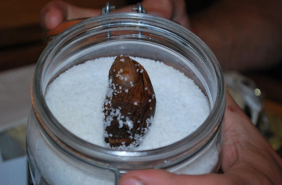 cocktail ngon chan anh 6