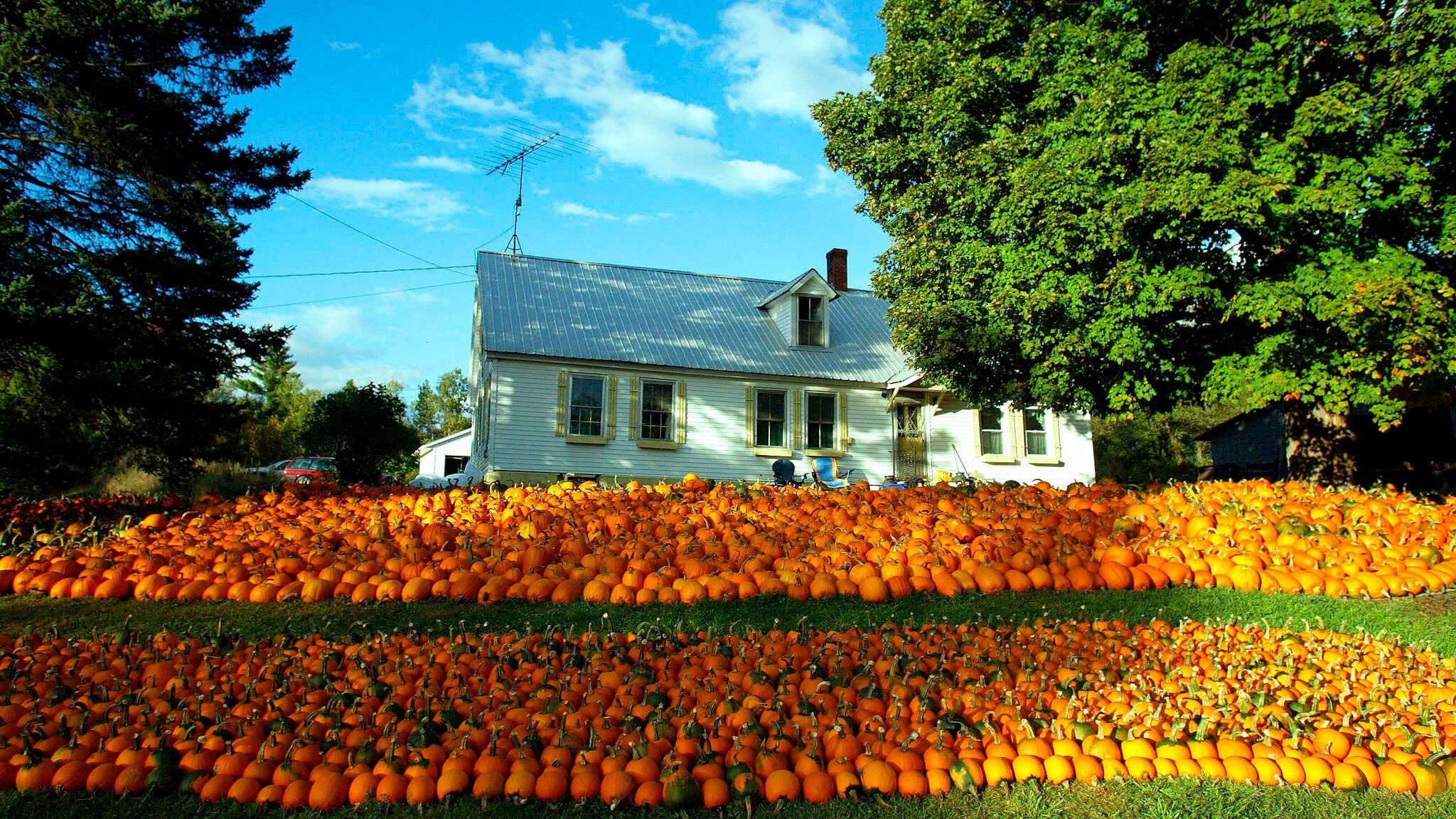 thanh pho thua dan nhat the gioi anh 13