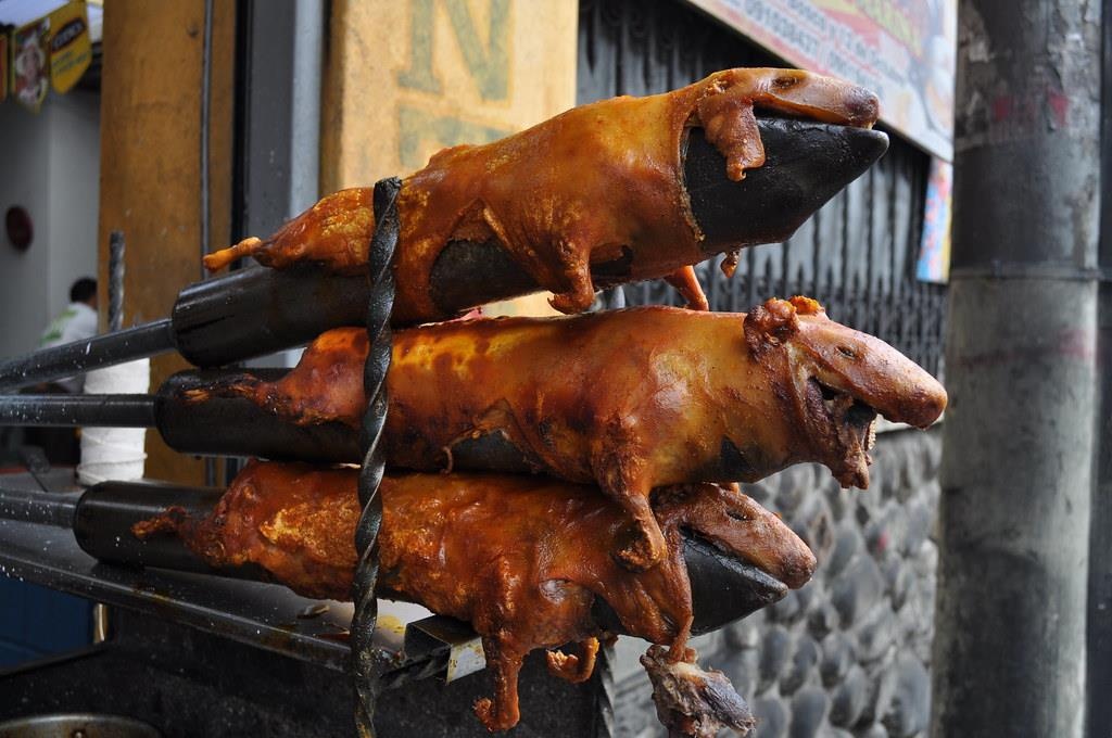 Chuot lang va nhung mon an dac san o Ecuador hinh anh