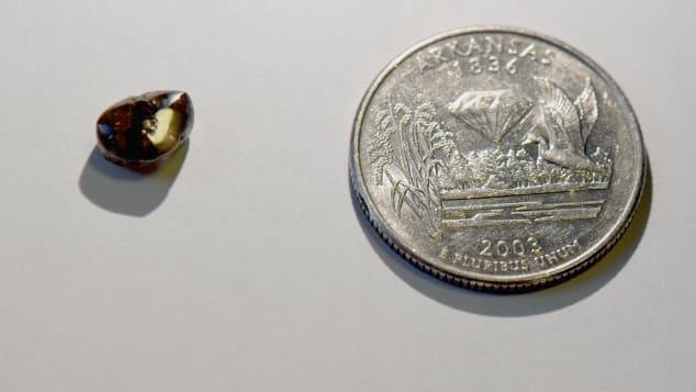 Du khach dao duoc kim cuong o cong vien anh 2