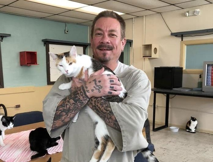 Trai giam o My dua meo vao song chung voi tu nhan hinh anh