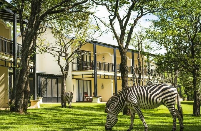 Noi nghi duong cho nguoi yeu dong vat, ngam ngua van moi ngay hinh anh