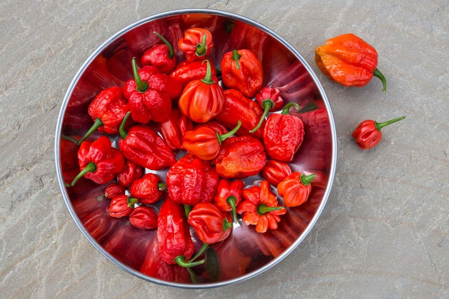 10 loai ot cay nhat the gioi anh 2