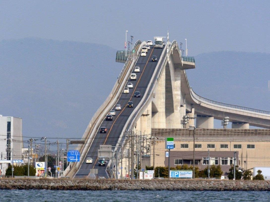 Cay cau dang so nhat Nhat Ban thuc chat la mot ‘cu lua’? hinh anh