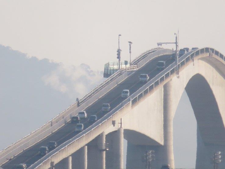 Cay cau dang so nhat Nhat Ban anh 6