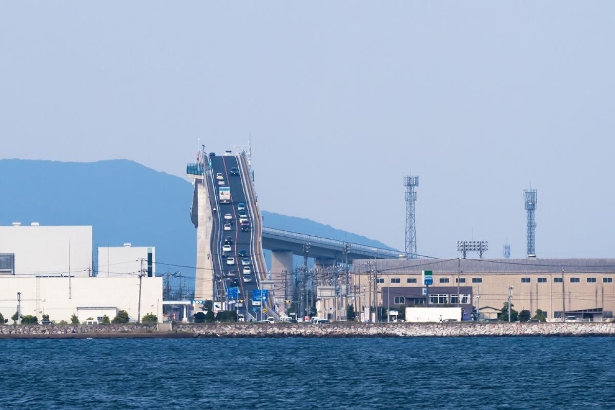 Cay cau dang so nhat Nhat Ban anh 8