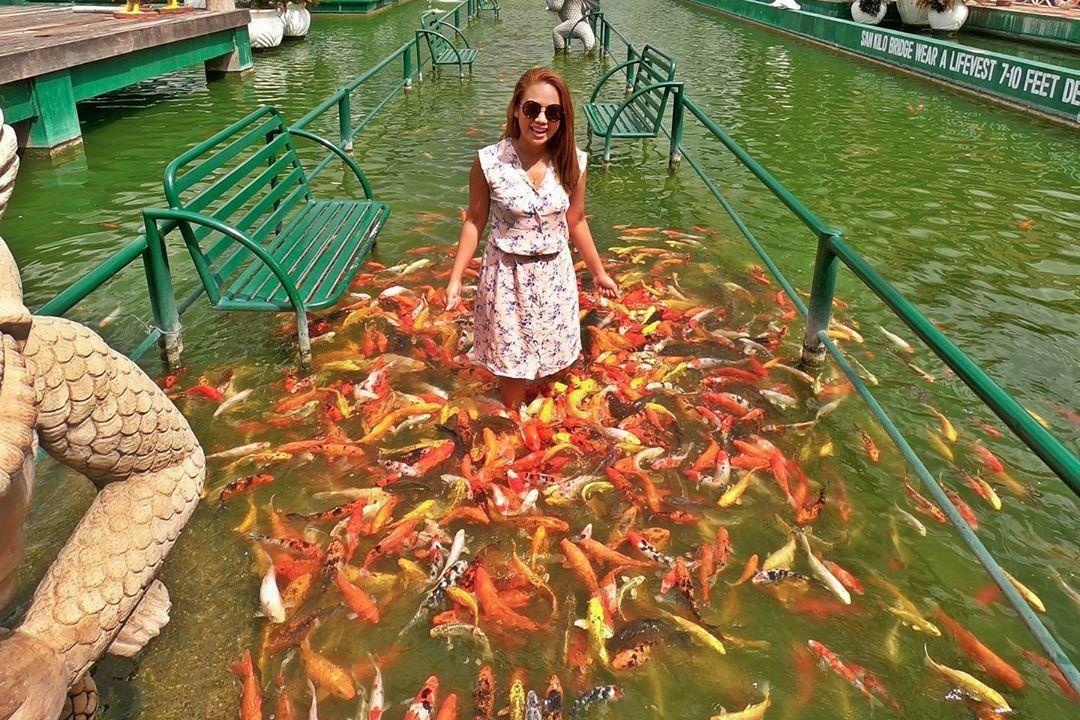 Trai nghiem loi di duoi nuoc voi dan ca Koi nghin con hinh anh