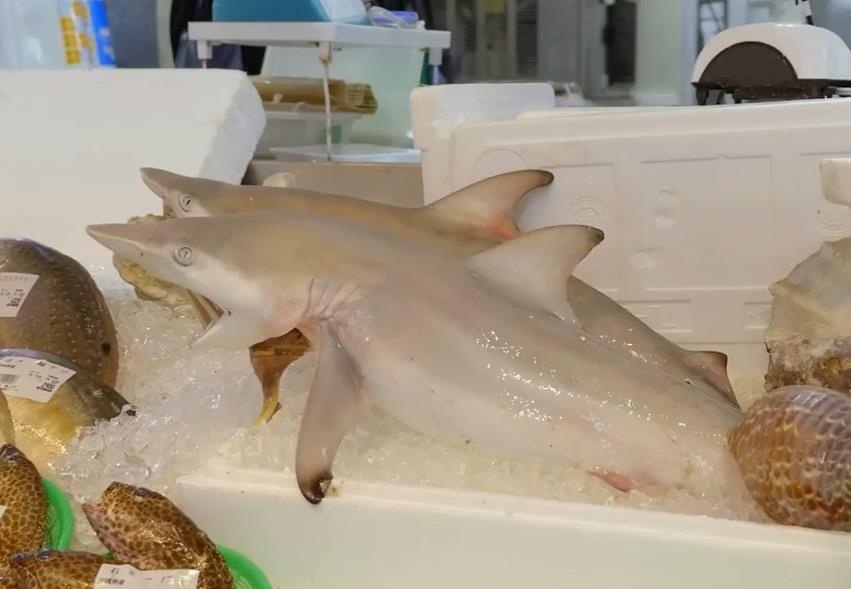 An nhu mot vi vua voi 10 USD o cho hai san Nhat Ban hinh anh