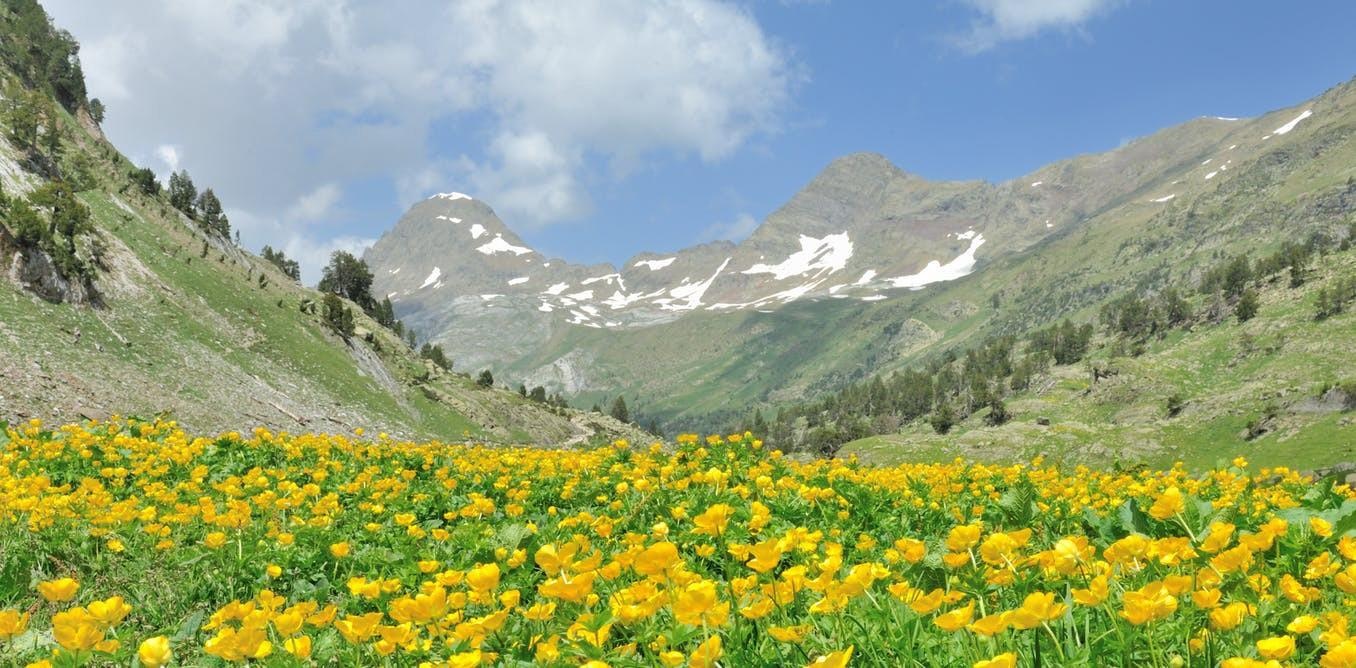 mua nhua tai nui Rocky anh 5