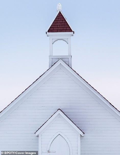 Cuoc thi nhiep anh chim muong 2019 anh 8