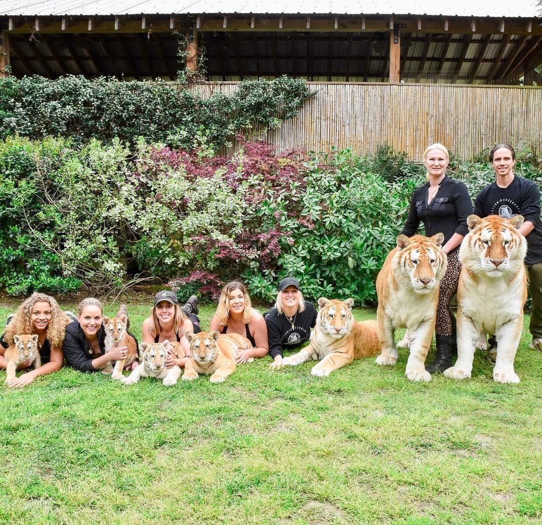 Chang nguoi rung song cung bay ho anh 9