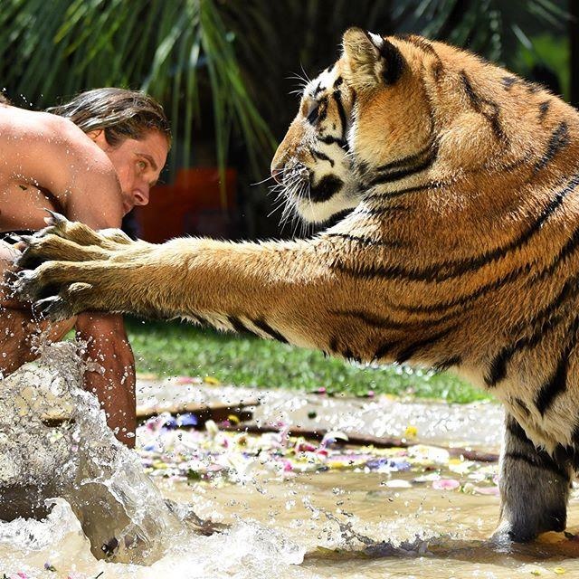 Chang nguoi rung song cung bay ho anh 6