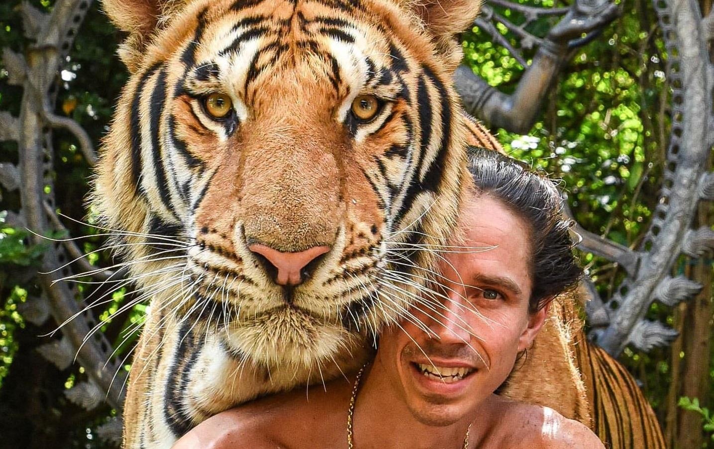 Chang 'Tarzan doi thuc' khien ho ngoan ngoan nhu meo con hinh anh