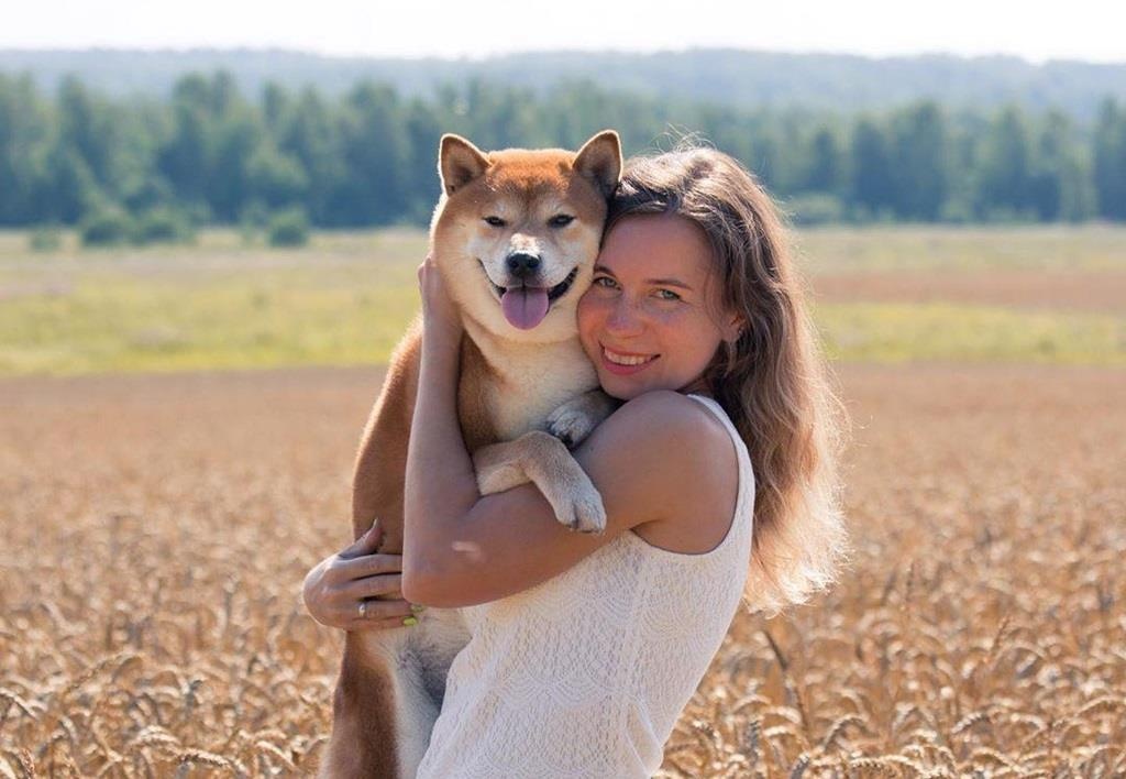 Shiba, giong 'quoc khuyen' thong minh, trung thanh cua Nhat Ban hinh anh