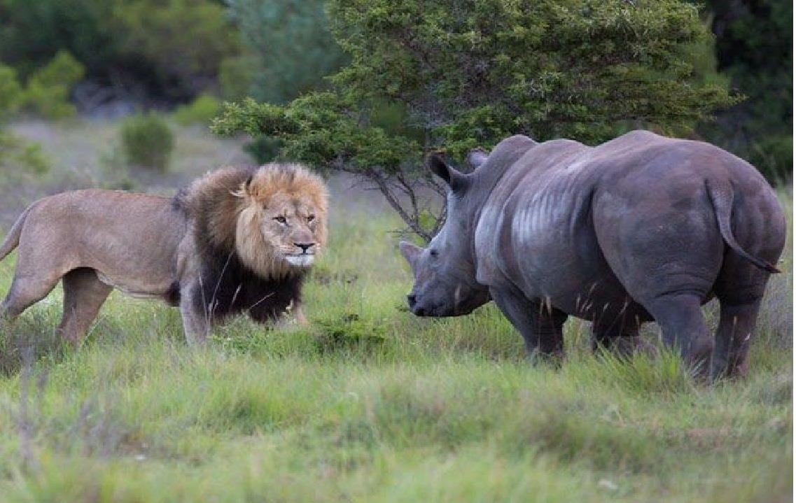 Te giac 'cua sung' van de dang duoi ca dan su tu hinh anh