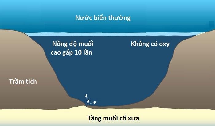 Ho muoi cuc doc duoi day bien anh 3