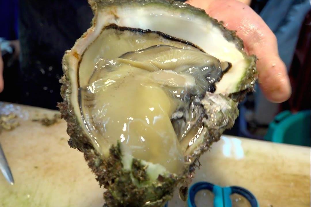 An hau khong lo, to hon ban tay chi voi 20 USD hinh anh