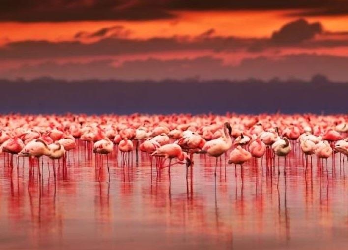 10 diem du lich nhuom sac hong tren khap the gioi hinh anh