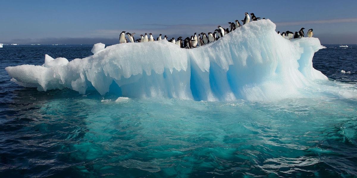 Dieu gi xay ra neu bang 2 cuc tan het sau mot dem? hinh anh