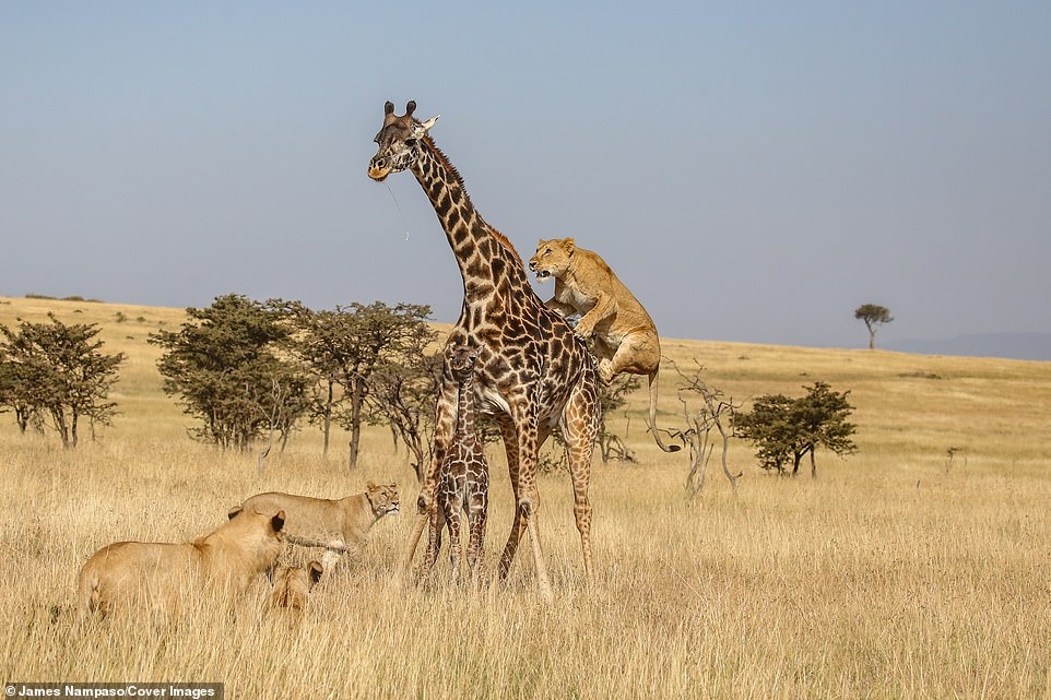 Cuoc song tan khoc tren thao nguyen anh 1