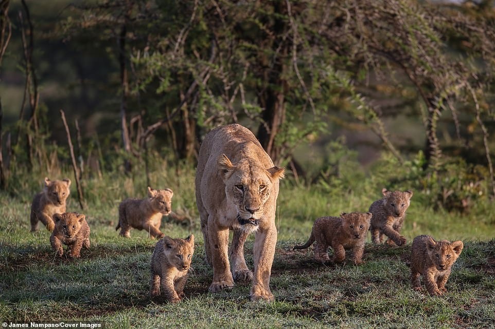 Cuoc song tan khoc tren thao nguyen anh 10