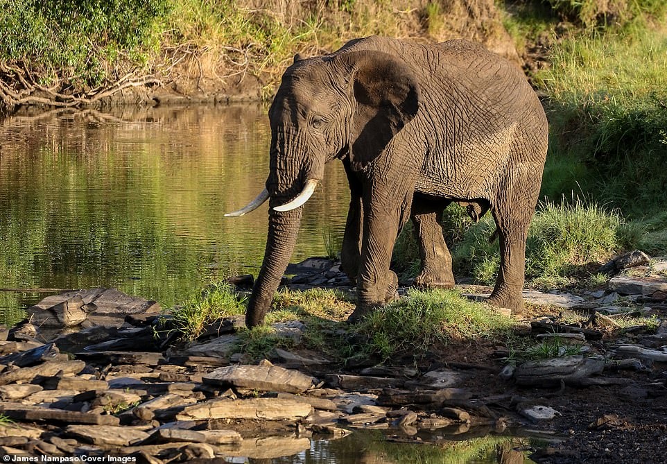 Cuoc song tan khoc tren thao nguyen anh 11