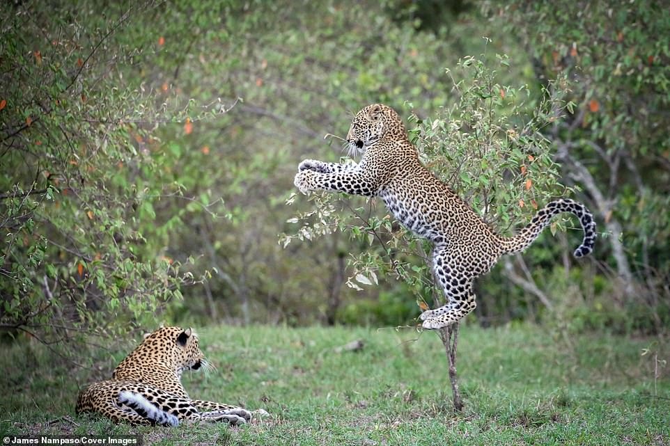 Cuoc song tan khoc tren thao nguyen anh 2