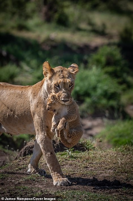 Cuoc song tan khoc tren thao nguyen anh 3