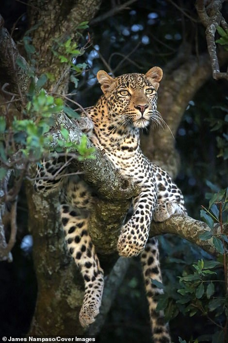 Cuoc song tan khoc tren thao nguyen anh 4