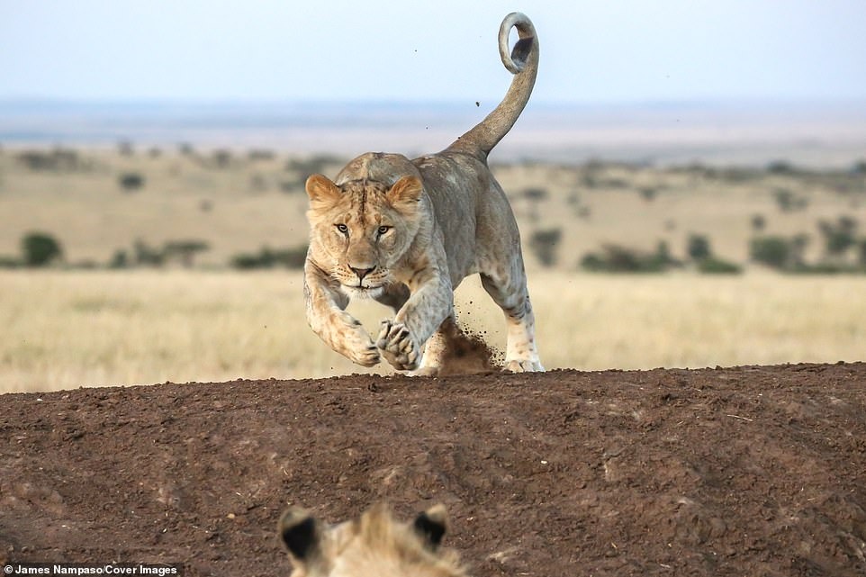 Cuoc song tan khoc tren thao nguyen anh 5