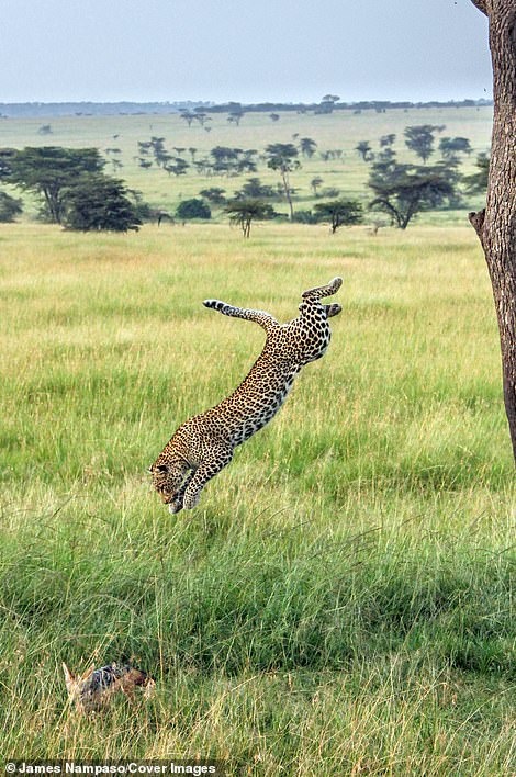 Cuoc song tan khoc tren thao nguyen anh 6
