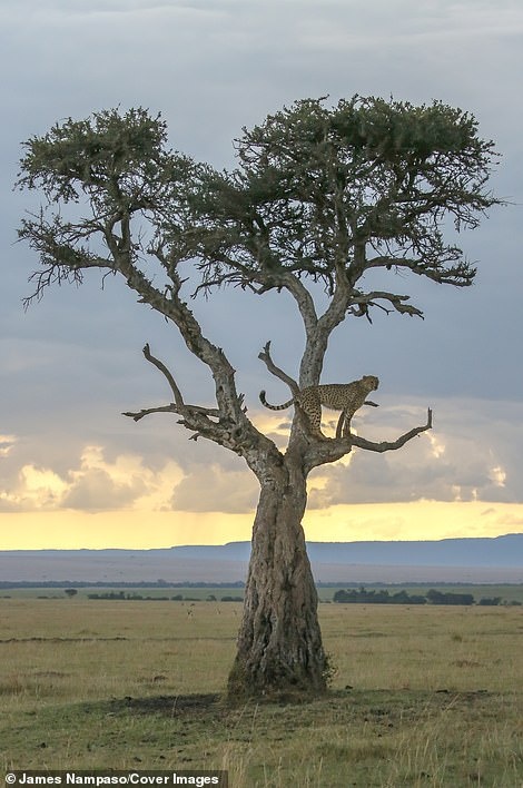 Cuoc song tan khoc tren thao nguyen anh 7
